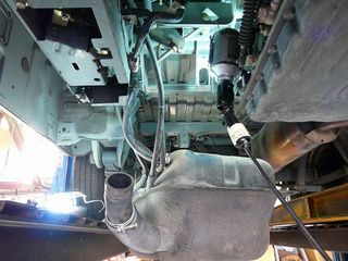 ss-P1030137.jpg