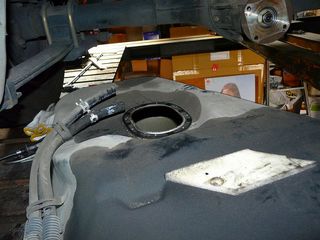 ss-P1030140.jpg