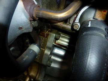 ss-P1030584.jpg