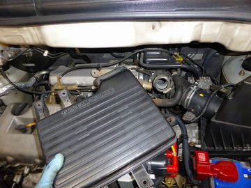 ss-P1030588.jpg