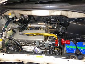 ss-P1030589.jpg
