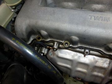 ss-P1030594.jpg