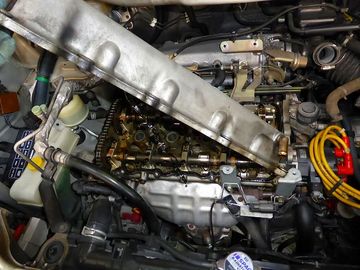 ss-P1030596.jpg