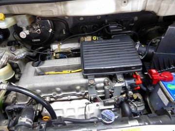 ss-P1030621.jpg