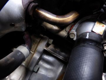 ss-P1030622.jpg