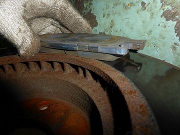 ss-P1030844.jpg