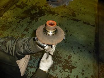 ss-P1030881.jpg