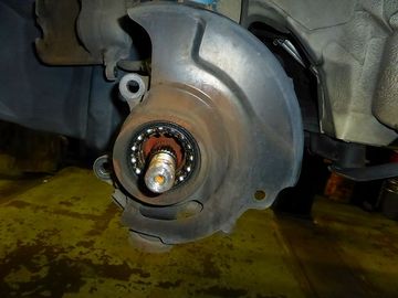 ss-P1030882.jpg