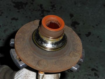 ss-P1030883.jpg