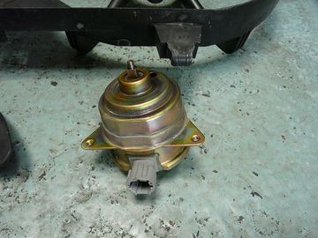 ss-P1040016.jpg