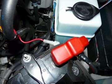 ss-P1040466.jpg
