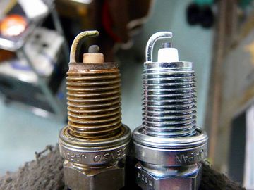 ss-P1040479.jpg