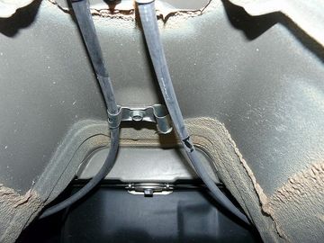 ss-P1040661.jpg