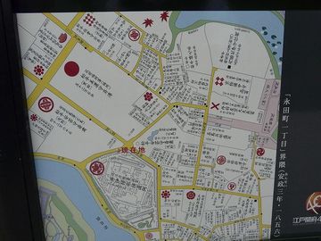 ss-P1040713.jpg