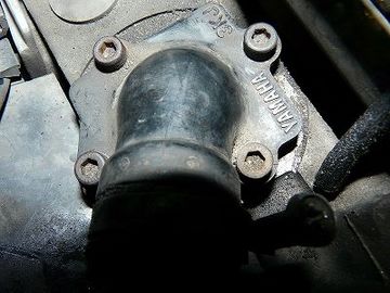 ss-P1040947.jpg