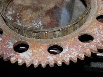 ss-P1050226.jpg