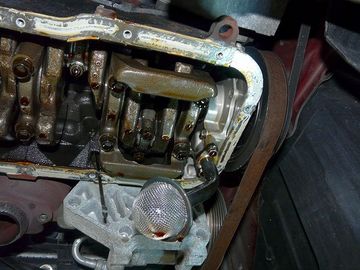ss-P1050277.jpg