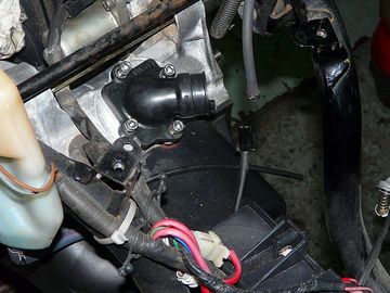 ss-P1050388.jpg