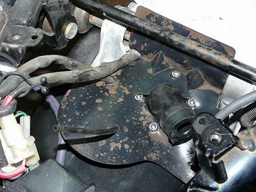 ss-P1050394.jpg