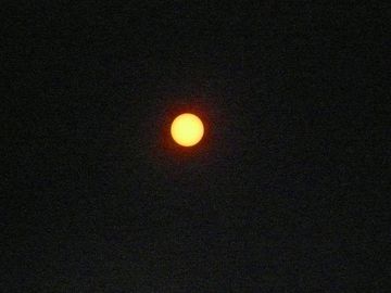 ss-P1050442.jpg