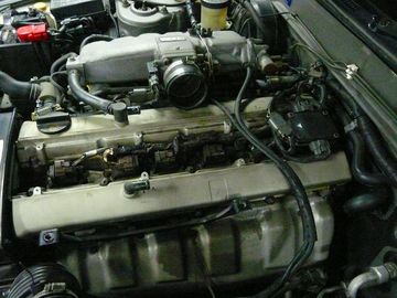 ss-P1060162.jpg