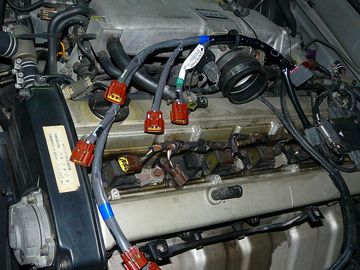 ss-P1060168.jpg