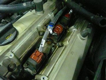 ss-P1060171.jpg