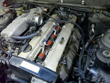 ss-P1060198.jpg