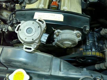 ss-P1060199.jpg