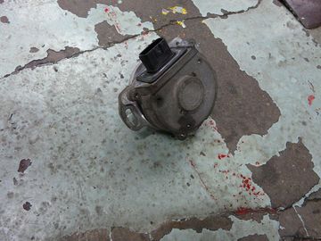ss-P1060200.jpg