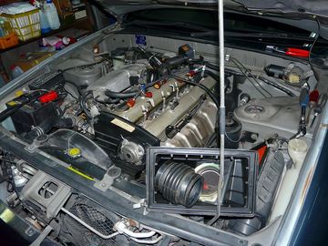 ss-P1060304.jpg