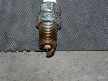 ss-P1060309.jpg