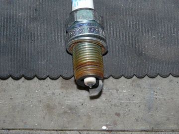 ss-P1060310.jpg