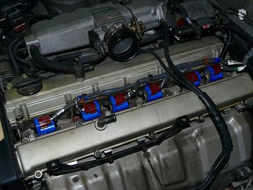 ss-P1060326.jpg