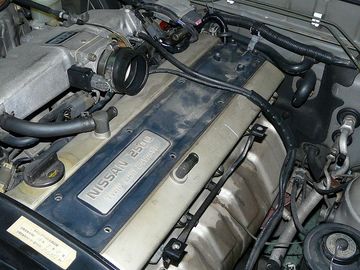 ss-P1060328.jpg