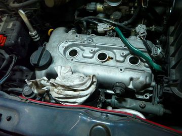 ss-P1060411.jpg
