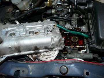 ss-P1060414.jpg