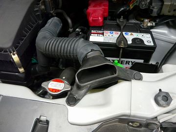 ss-P1060466.jpg