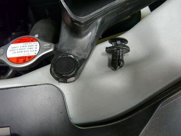 ss-P1060467.jpg