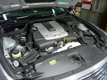 ss-P1060531.jpg