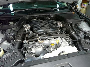 ss-P1060532.jpg