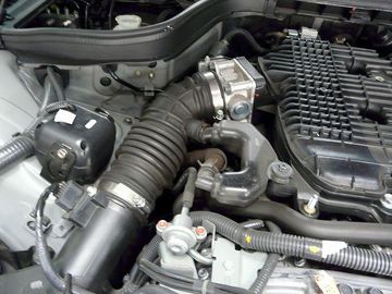 ss-P1060539.jpg