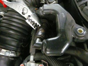 ss-P1060544.jpg