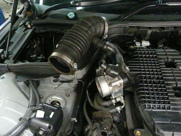 ss-P1060546.jpg