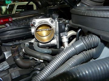 ss-P1060548.jpg