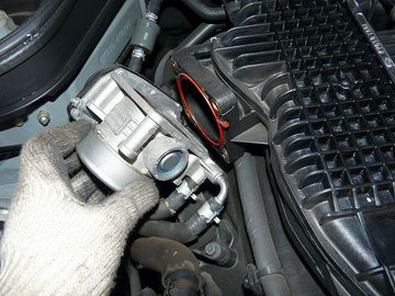 ss-P1060549.jpg