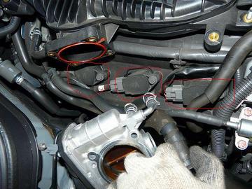 ss-P1060550.jpg
