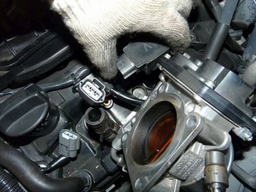 ss-P1060553.jpg