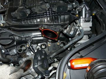 ss-P1060559.jpg