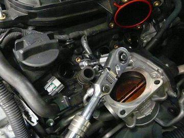 ss-P1060562.jpg